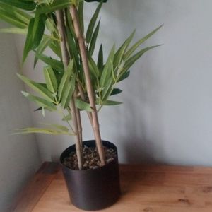 Meet your Posher, Nicholas